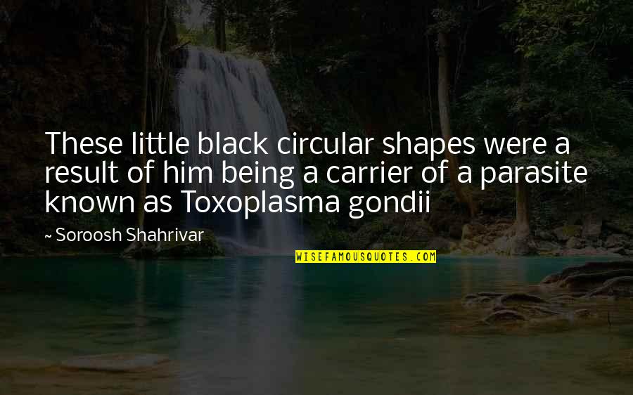 Forefingers Quotes By Soroosh Shahrivar: These little black circular shapes were a result