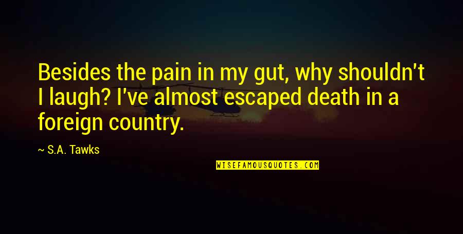Foreign Travel Quotes By S.A. Tawks: Besides the pain in my gut, why shouldn't