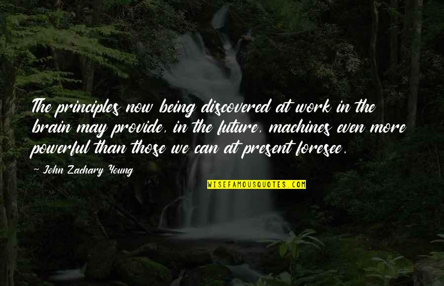 Foresee Quotes By John Zachary Young: The principles now being discovered at work in