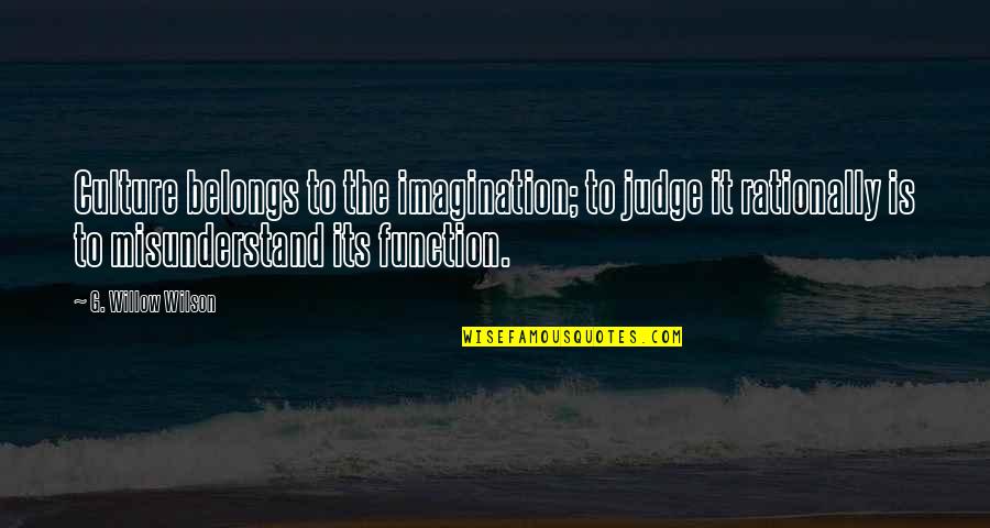 Foreseehome Quotes By G. Willow Wilson: Culture belongs to the imagination; to judge it