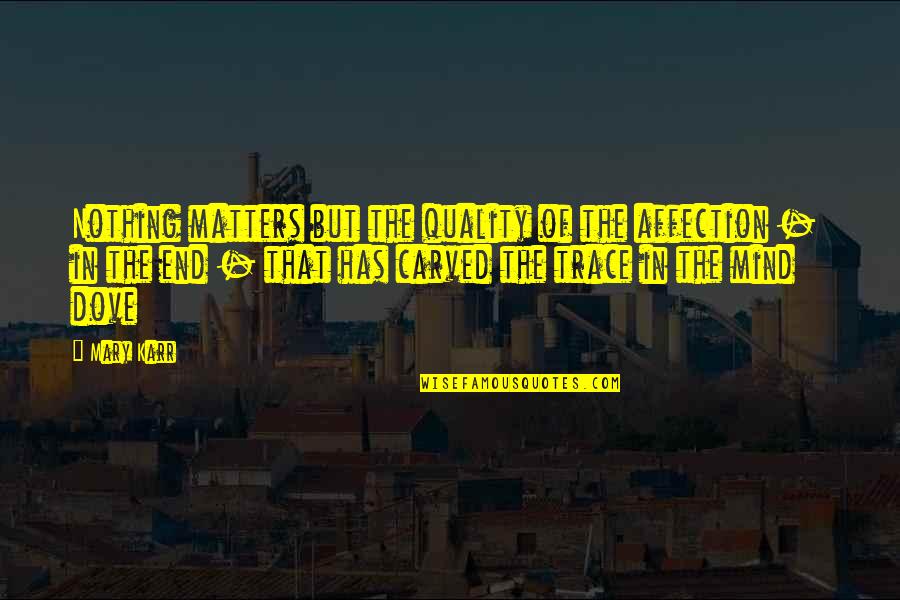 Foreseehome Quotes By Mary Karr: Nothing matters but the quality of the affection