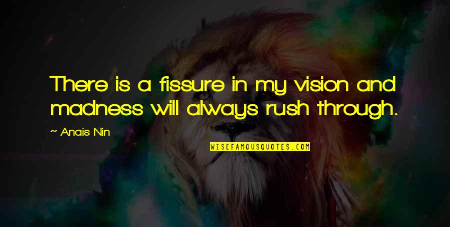 Foreskin Quotes By Anais Nin: There is a fissure in my vision and