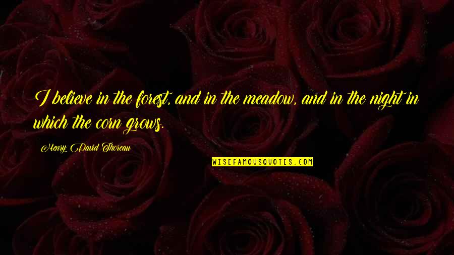 Forest At Night Quotes By Henry David Thoreau: I believe in the forest, and in the Forest At Night Quotes By Henry David Thoreau: I believe in the forest, and in the