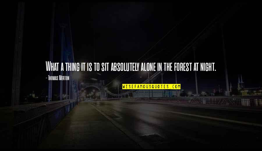 Forest At Night Quotes By Thomas Merton: What a thing it is to sit absolutely