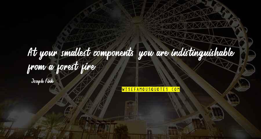 Forest Fire Quotes By Joseph Fink: At your smallest components, you are indistinguishable from