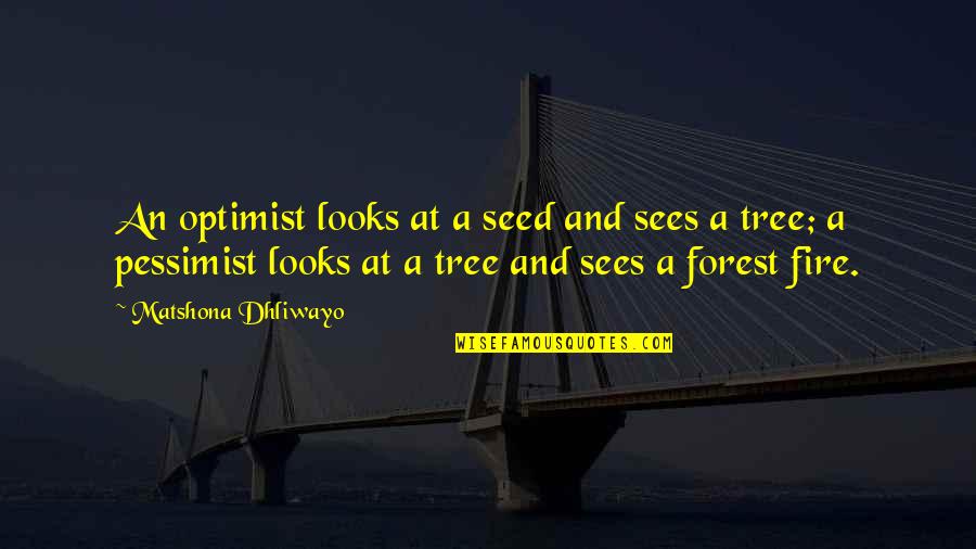 Forest Fire Quotes By Matshona Dhliwayo: An optimist looks at a seed and sees