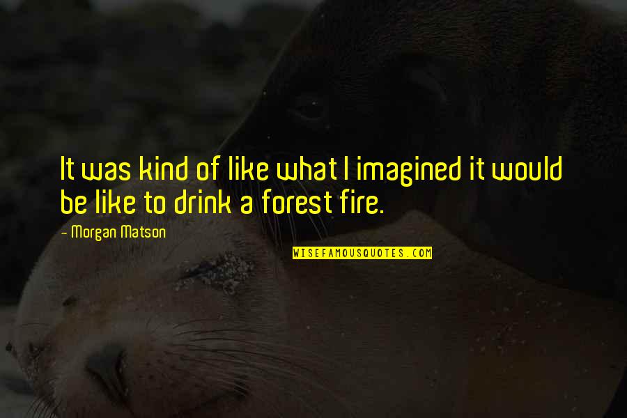 Forest Fire Quotes By Morgan Matson: It was kind of like what I imagined