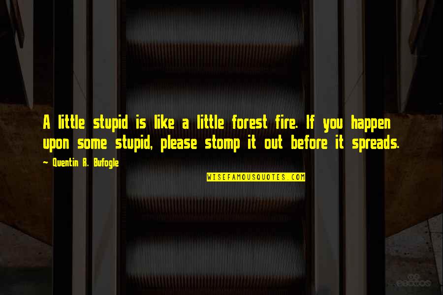 Forest Fire Quotes By Quentin R. Bufogle: A little stupid is like a little forest