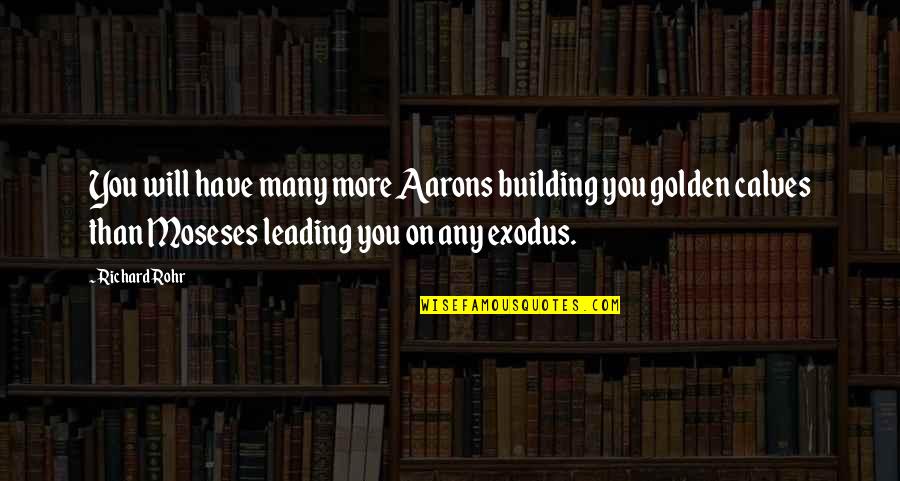 Forestals Playstation Quotes By Richard Rohr: You will have many more Aarons building you Forestals Playstation Quotes By Richard Rohr: You will have many more Aarons building you