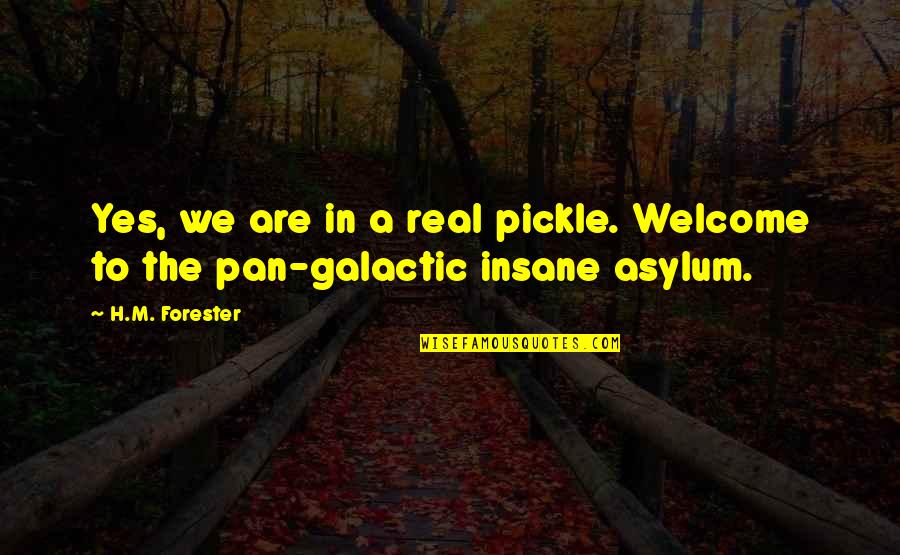 Forester Quotes By H.M. Forester: Yes, we are in a real pickle. Welcome