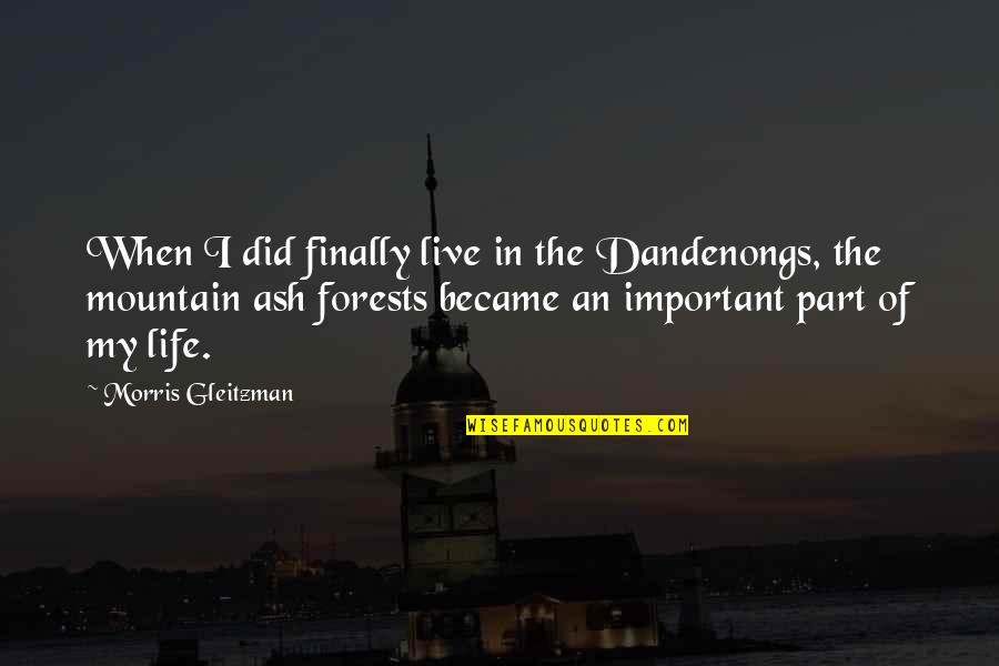 Forests And Life Quotes By Morris Gleitzman: When I did finally live in the Dandenongs,