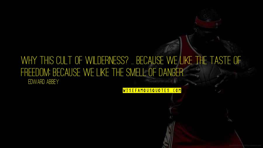 Forests And Water Quotes By Edward Abbey: Why this cult of wilderness? ... because we