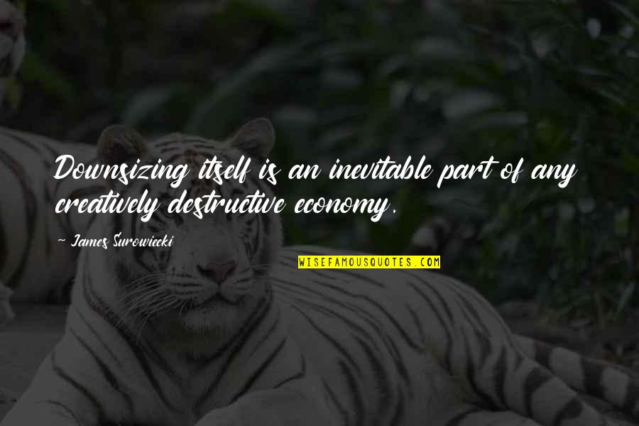 Forests Conservation Quotes By James Surowiecki: Downsizing itself is an inevitable part of any
