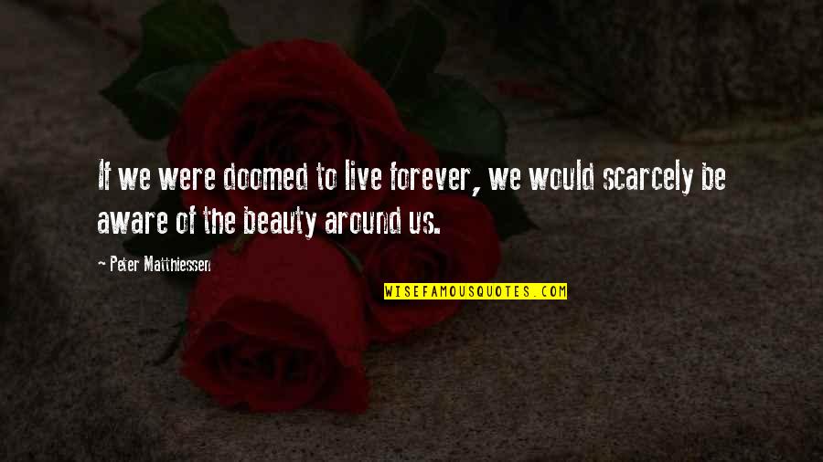 Forever Beauty Quotes By Peter Matthiessen: If we were doomed to live forever, we