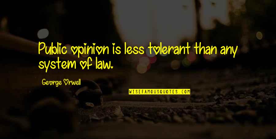 Forever Country Quotes By George Orwell: Public opinion is less tolerant than any system