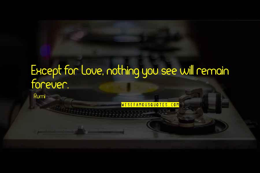 Forever For You Quotes By Rumi: Except for Love, nothing you see will remain