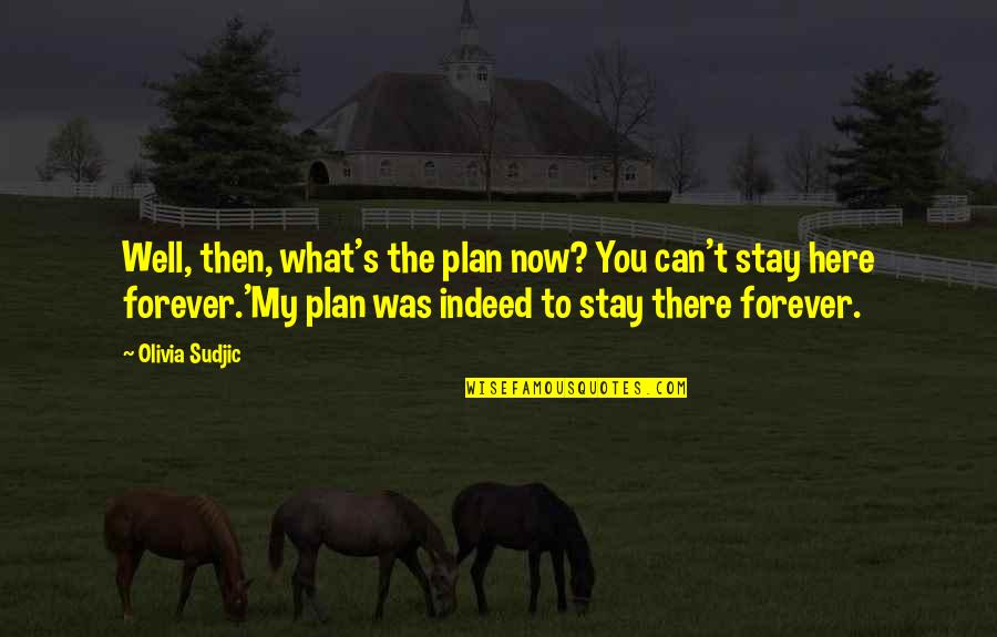 Forever Here For You Quotes By Olivia Sudjic: Well, then, what's the plan now? You can't