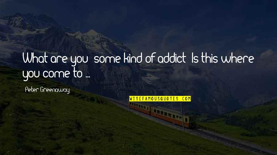 Forever Mine Elizabeth Reyes Quotes By Peter Greenaway: What are you some kind of addict? Is