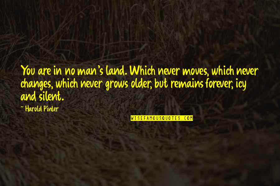 Forever Never Quotes By Harold Pinter: You are in no man's land. Which never