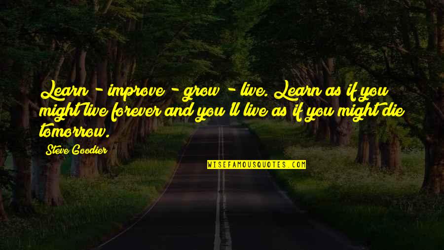 Forever Quotes By Steve Goodier: Learn - improve - grow - live. Learn