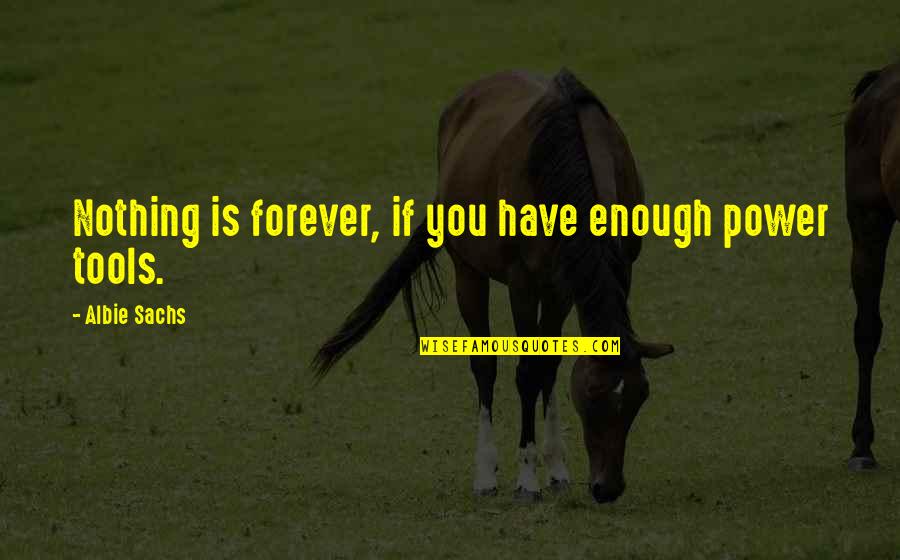 Forever There For You Quotes By Albie Sachs: Nothing is forever, if you have enough power