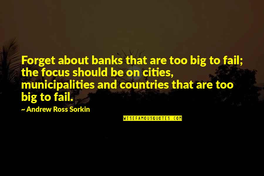 Forget About It All Quotes By Andrew Ross Sorkin: Forget about banks that are too big to