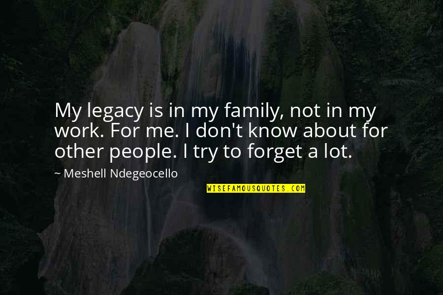 Forget About Me Quotes By Meshell Ndegeocello: My legacy is in my family, not in