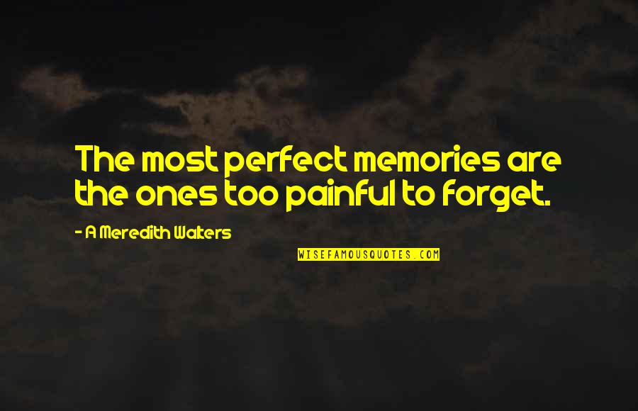 Forget All The Memories Quotes By A Meredith Walters: The most perfect memories are the ones too
