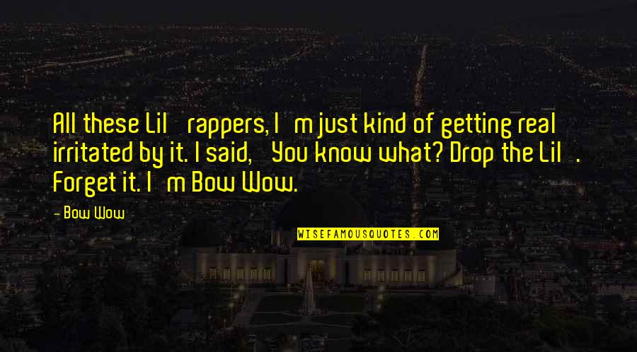 Forget It All Quotes By Bow Wow: All these Lil' rappers, I'm just kind of