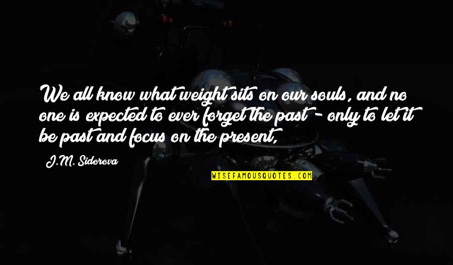 Forget It All Quotes By J.M. Sidorova: We all know what weight sits on our