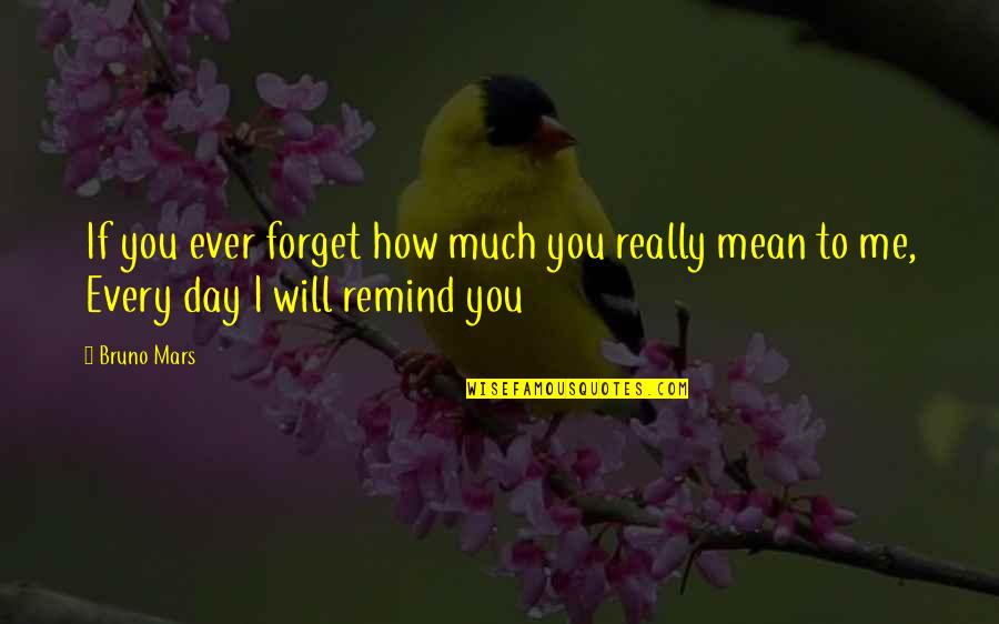 Forget Me Quotes By Bruno Mars: If you ever forget how much you really