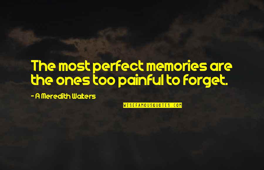 Forget Memories Quotes By A Meredith Walters: The most perfect memories are the ones too