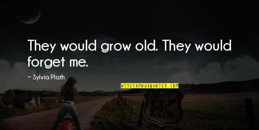 Forget The Old Me Quotes By Sylvia Plath: They would grow old. They would forget me.