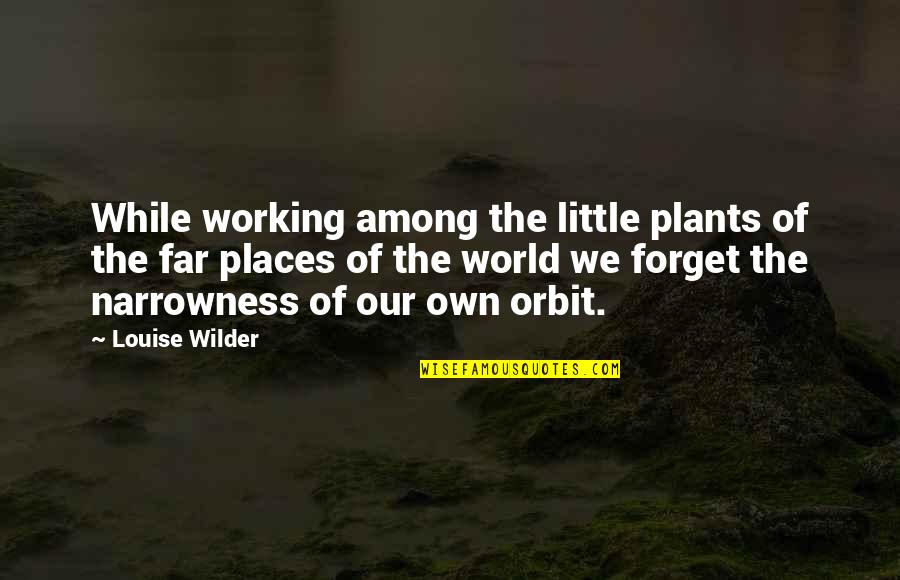 Forget The World Quotes By Louise Wilder: While working among the little plants of the