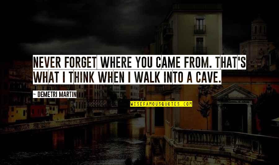 Forget Where You Came From Quotes By Demetri Martin: Never forget where you came from. That's what