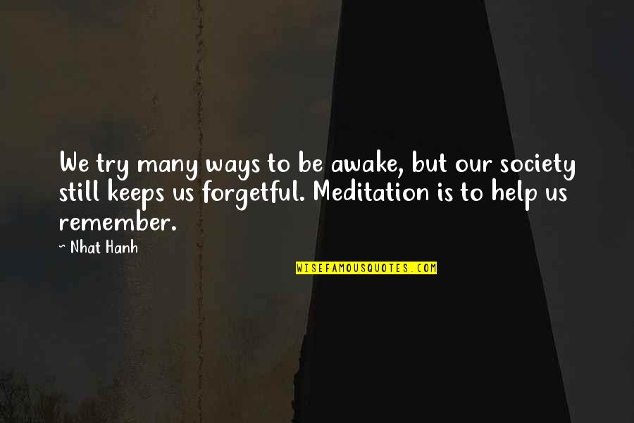 Forgetful Quotes By Nhat Hanh: We try many ways to be awake, but
