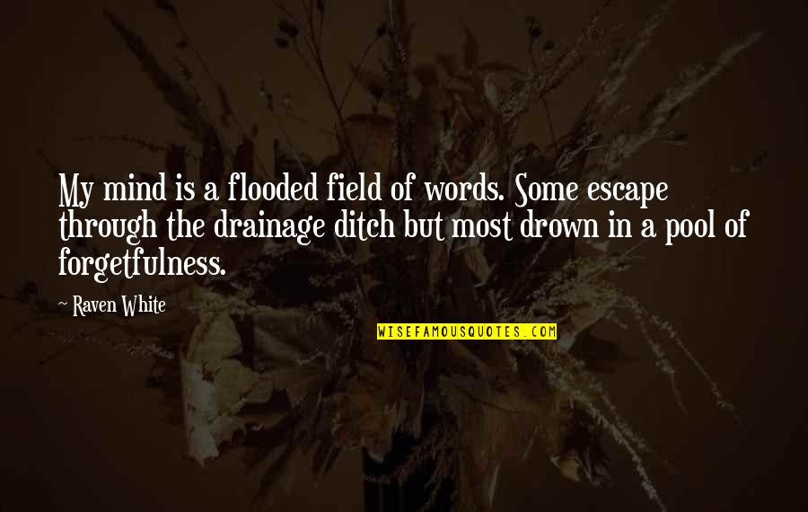 Forgetfulness Quotes By Raven White: My mind is a flooded field of words.