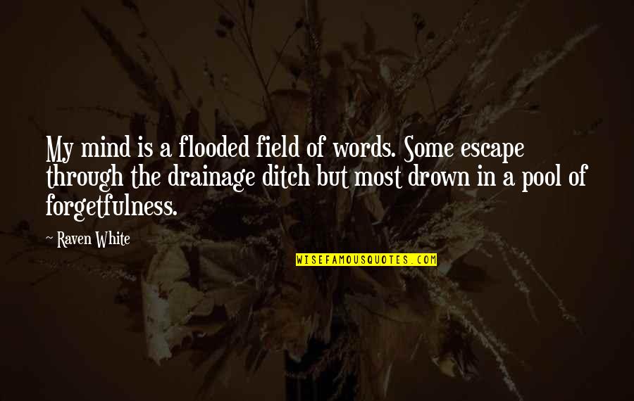 Forgetfulness Quotes By Raven White: My mind is a flooded field of words. Forgetfulness Quotes By Raven White: My mind is a flooded field of words.