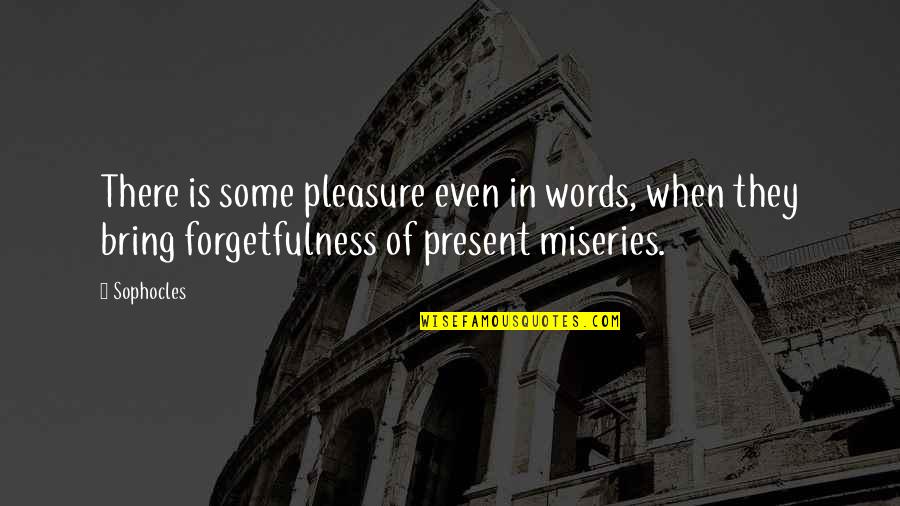 Forgetfulness Quotes By Sophocles: There is some pleasure even in words, when