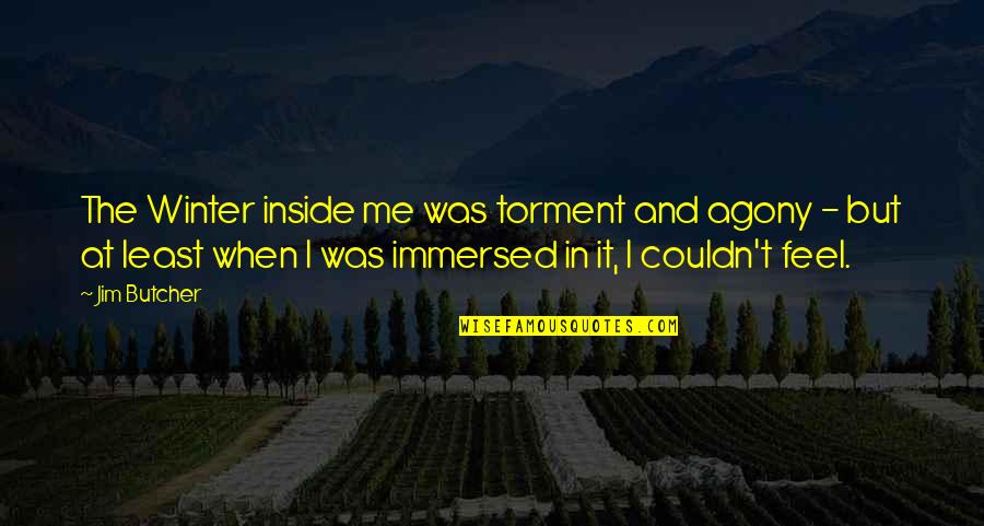 Forgetting Old Friends Quotes By Jim Butcher: The Winter inside me was torment and agony