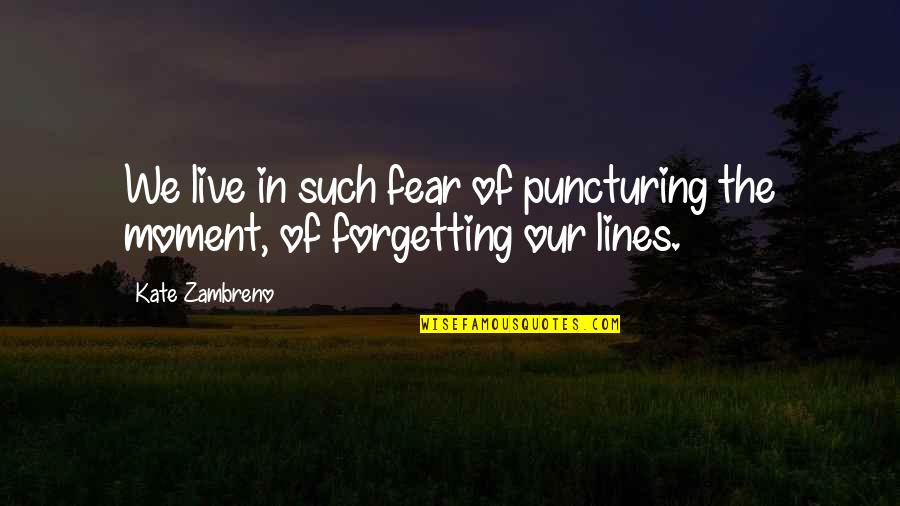 Forgetting Quotes By Kate Zambreno: We live in such fear of puncturing the