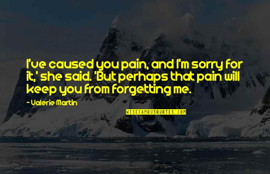 Forgetting The Pain Quotes By Valerie Martin: I've caused you pain, and I'm sorry for