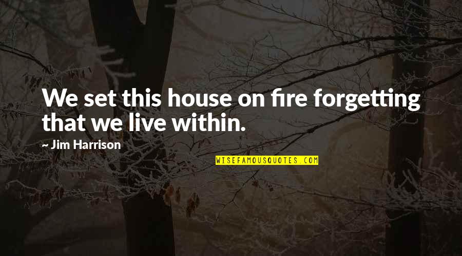 Forgetting To Live Quotes By Jim Harrison: We set this house on fire forgetting that