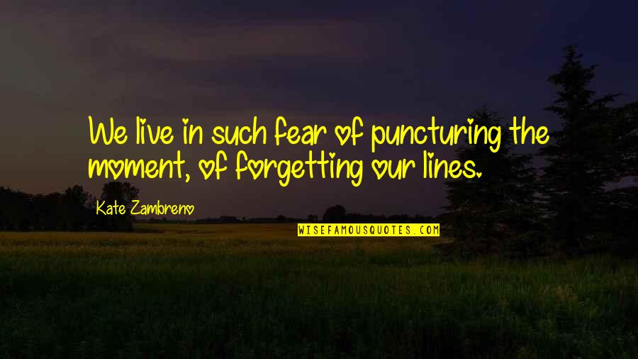 Forgetting To Live Quotes By Kate Zambreno: We live in such fear of puncturing the