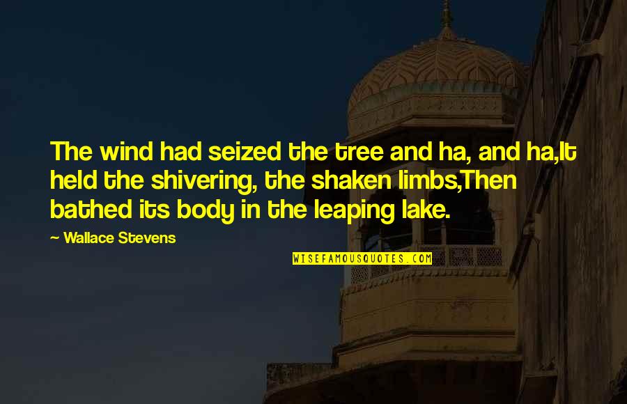 Forgive Yourself For Past Mistakes Quotes By Wallace Stevens: The wind had seized the tree and ha,