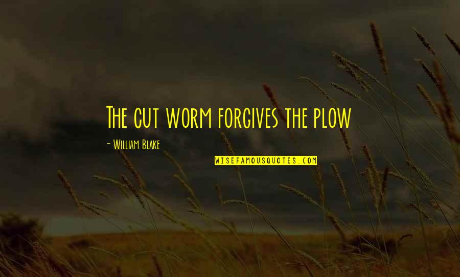 Forgives Quotes By William Blake: The cut worm forgives the plow