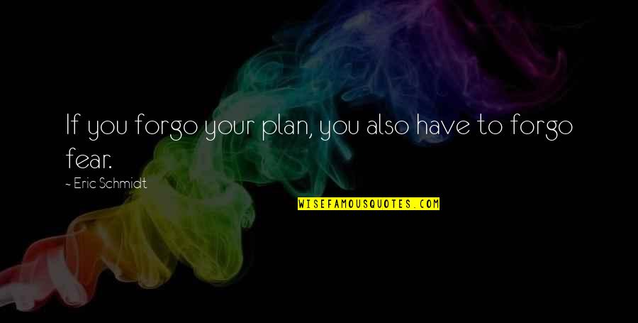 Forgo Quotes By Eric Schmidt: If you forgo your plan, you also have