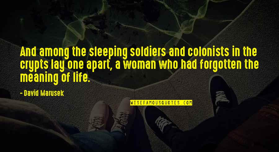 Forgotten Soldiers Quotes By David Marusek: And among the sleeping soldiers and colonists in