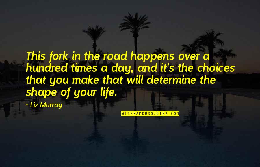 Fork In Road Quotes By Liz Murray: This fork in the road happens over a