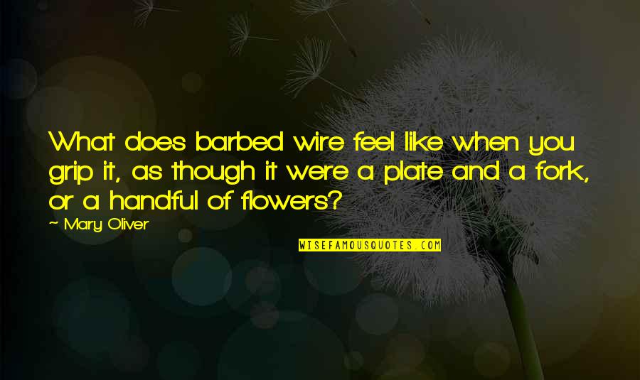 Fork Quotes By Mary Oliver: What does barbed wire feel like when you